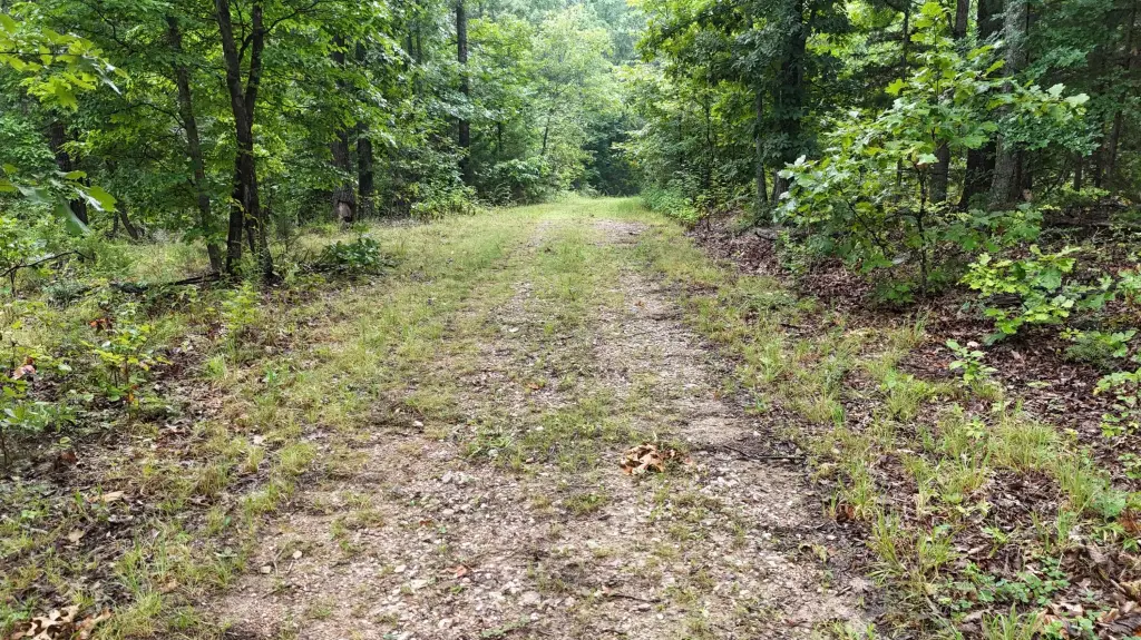 Picture 19