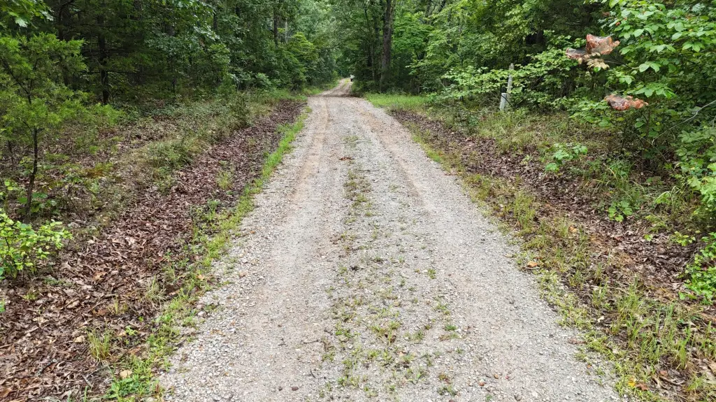 Picture 25