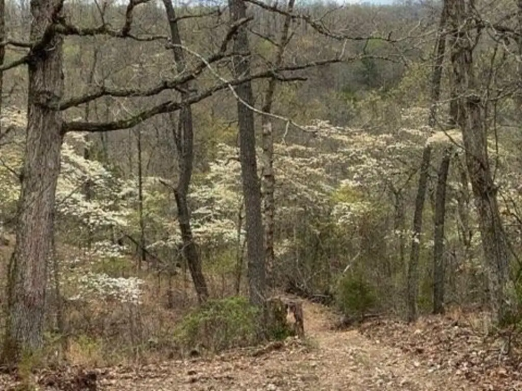 Picture 16
