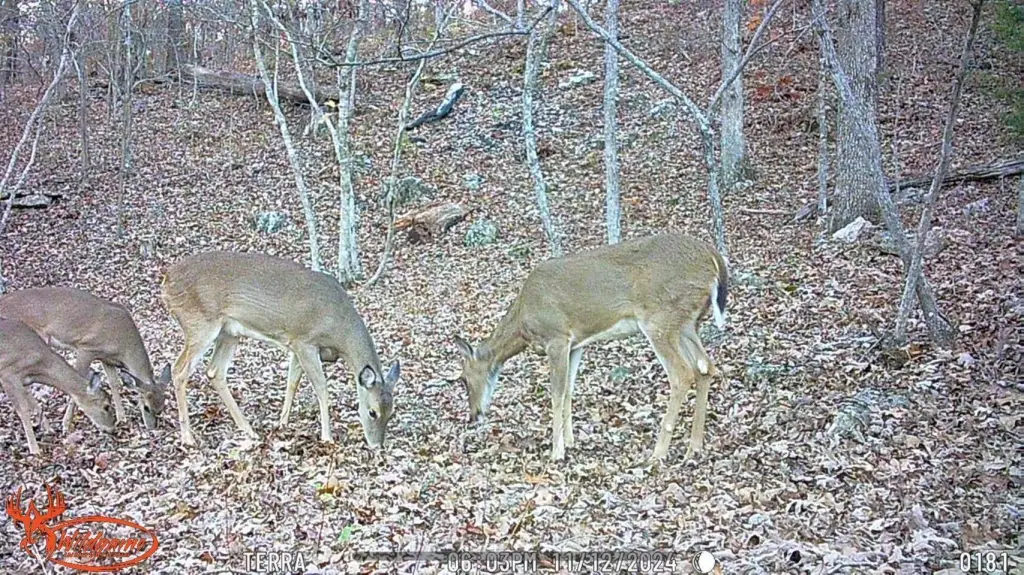 Picture 2
