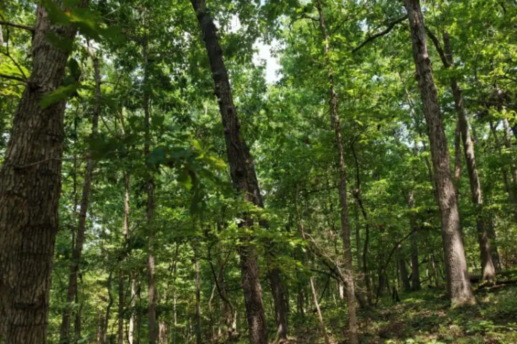 Picture 25