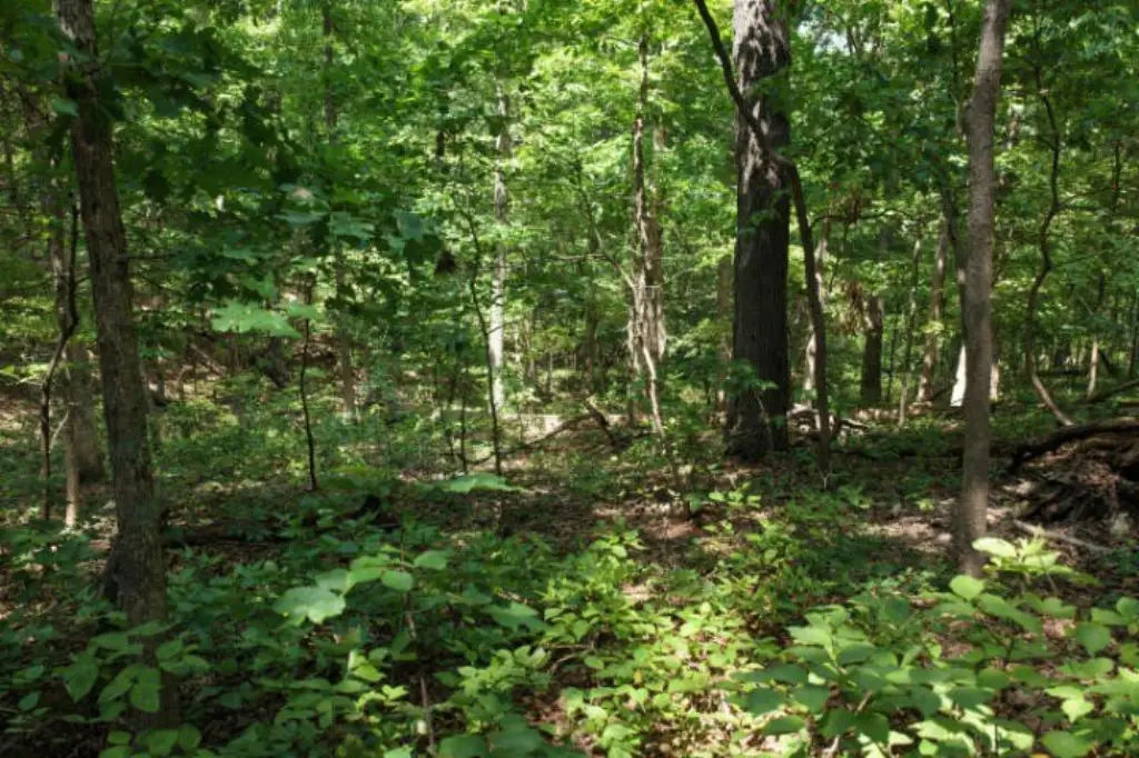 Picture 30