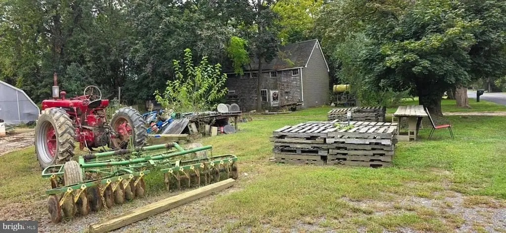 Picture 3