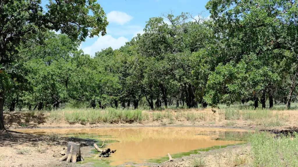 Picture 22