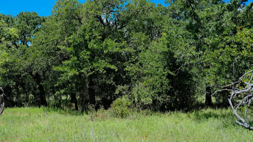 Picture 24