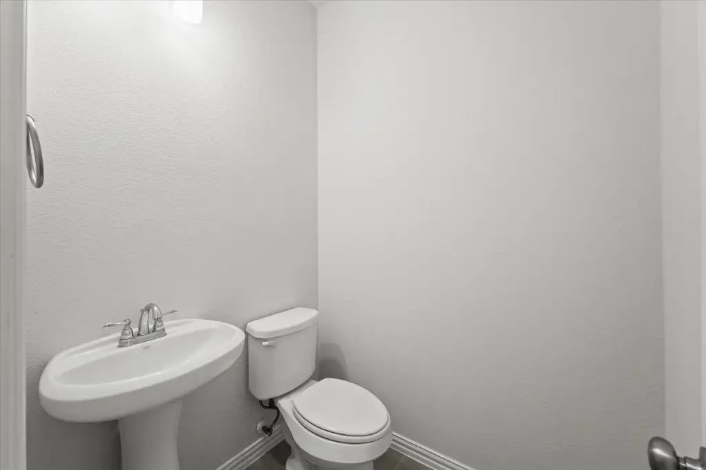 Picture 8