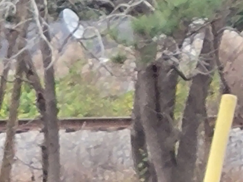 Picture 11