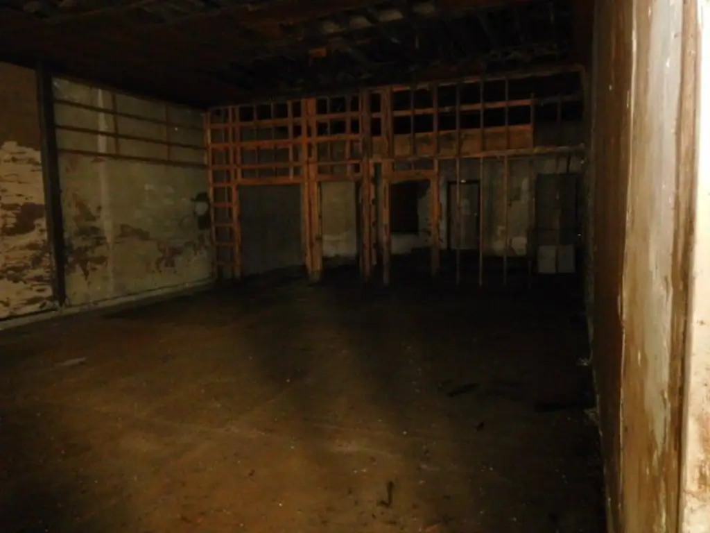 Picture 5