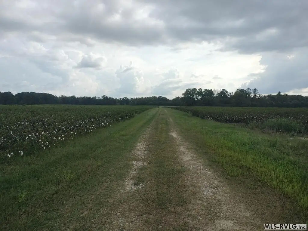 Picture 24