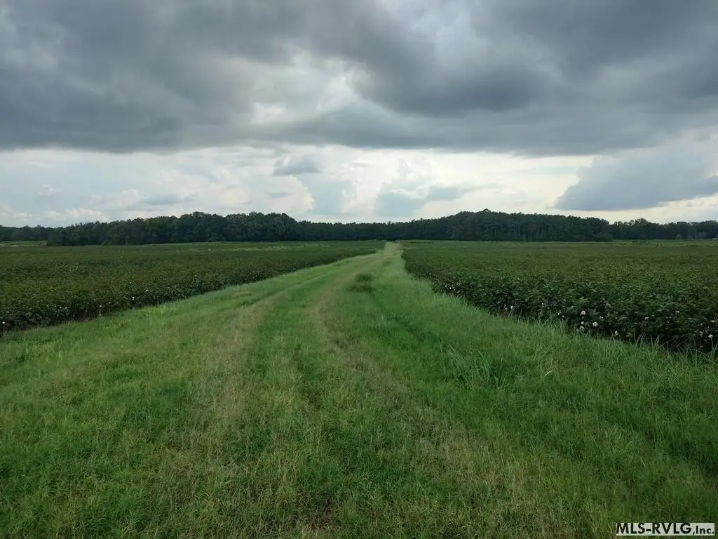 Picture 27