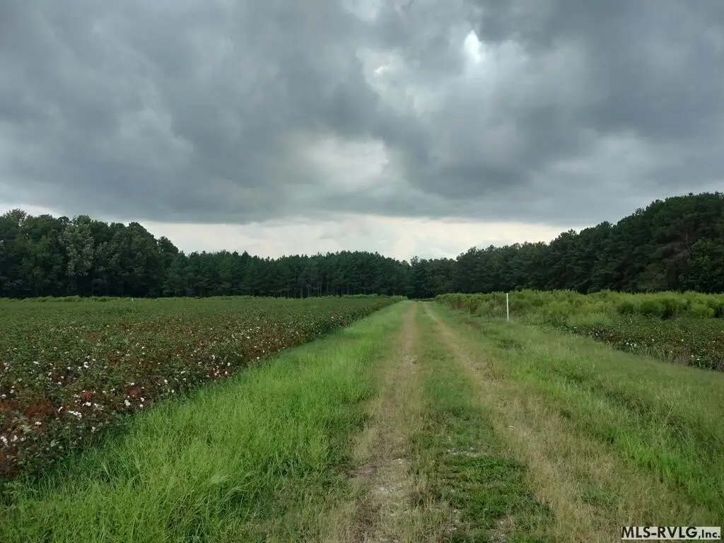 Picture 30