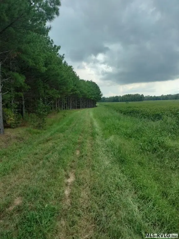 Picture 31