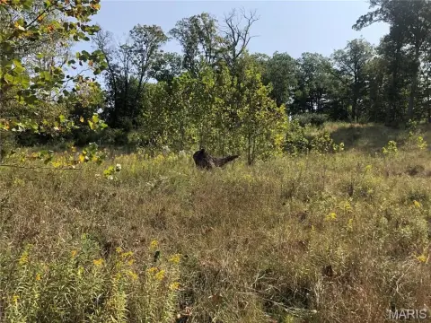 Residential Land in High Ridge, MO