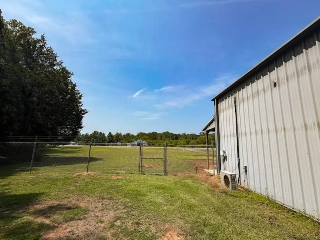 Picture 25