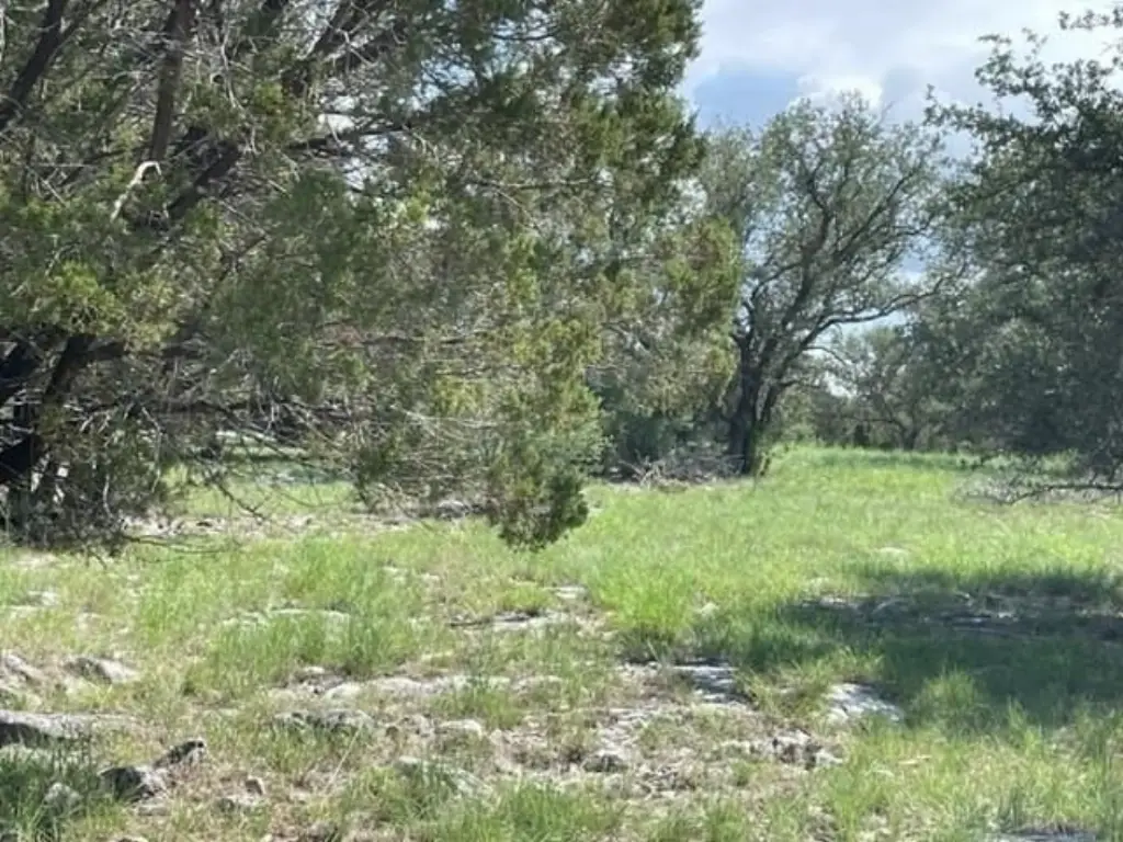 Picture 33