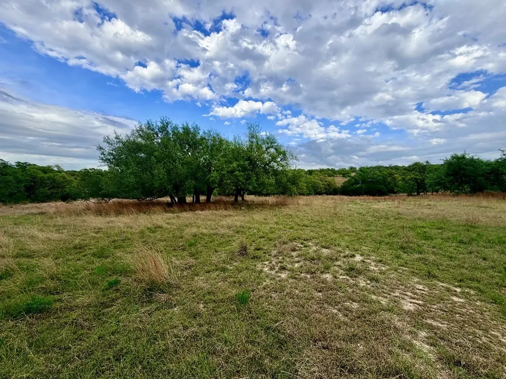 Picture 11