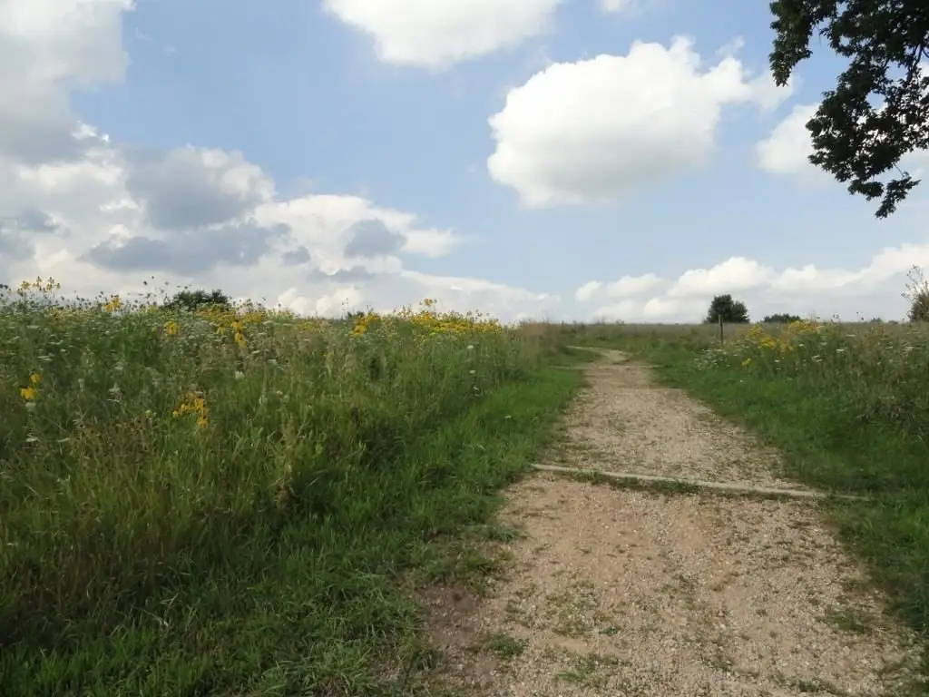 Picture 17
