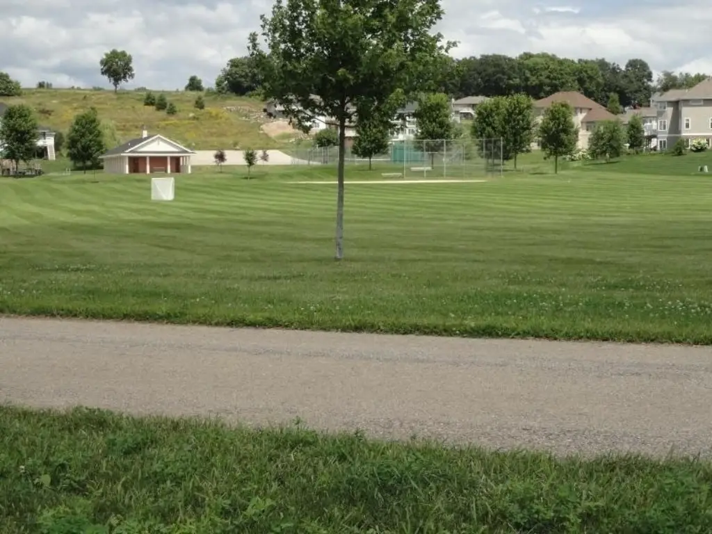Picture 11