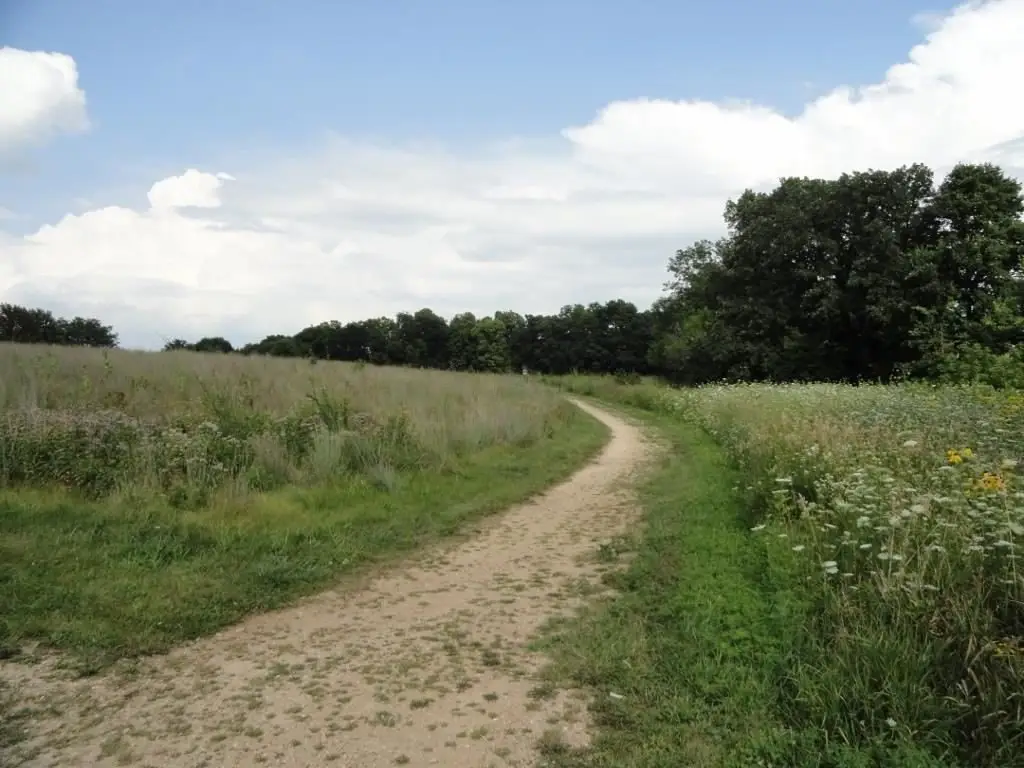 Picture 15