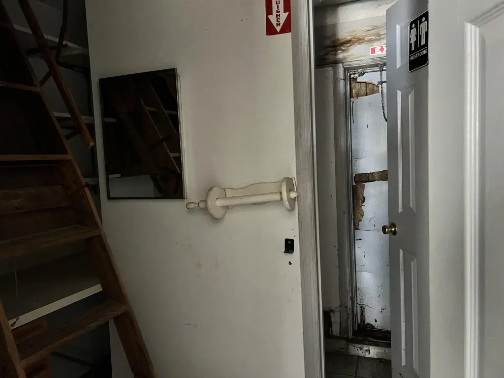 Picture 8