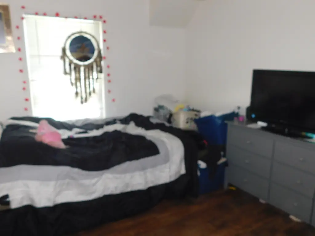 Picture 37