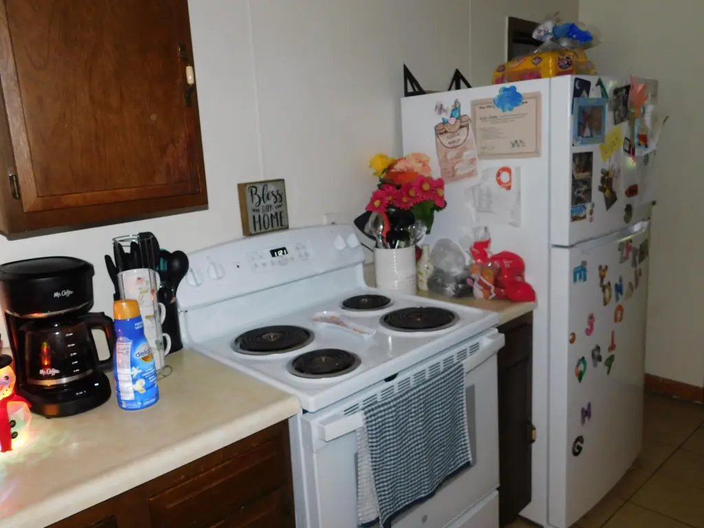Picture 19