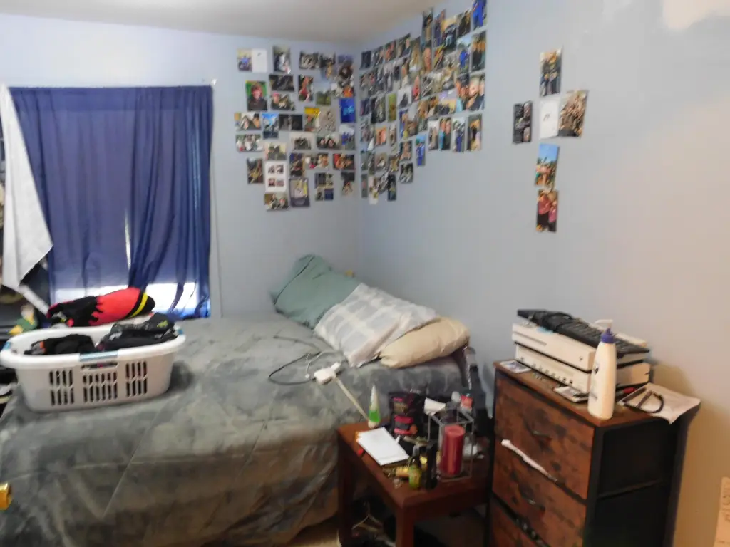 Picture 52