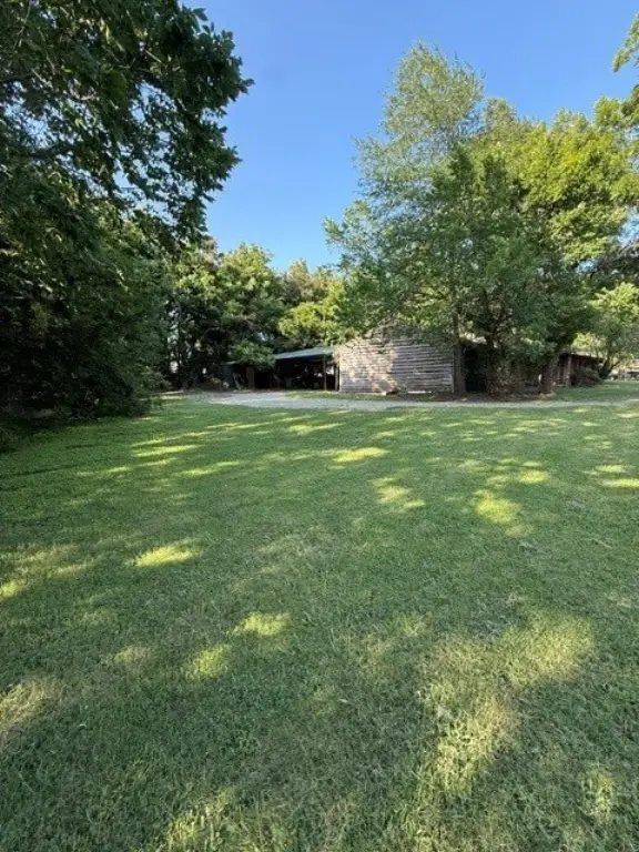 Picture 3