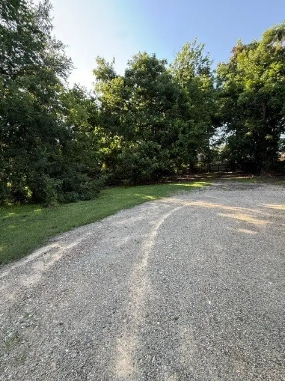 Picture 4