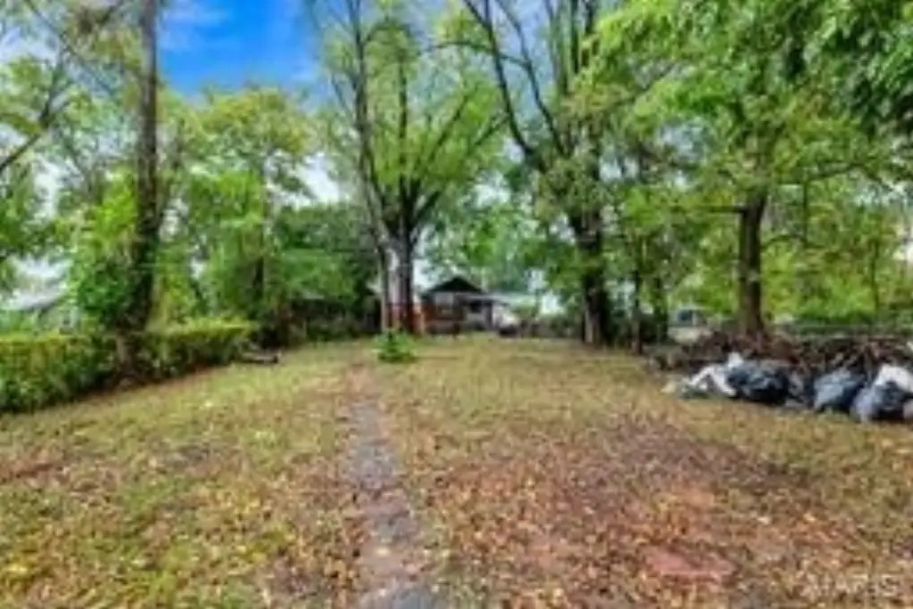 Picture 16