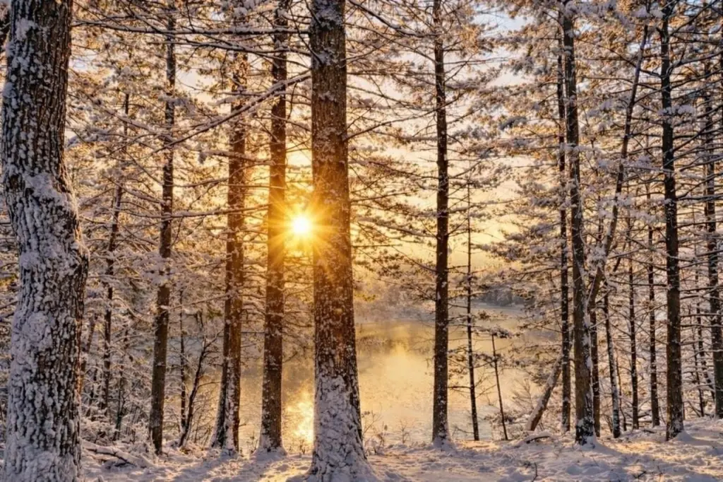Picture 41