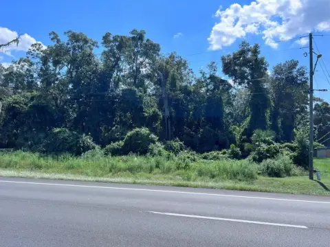 Commercial Land in Fanning Springs