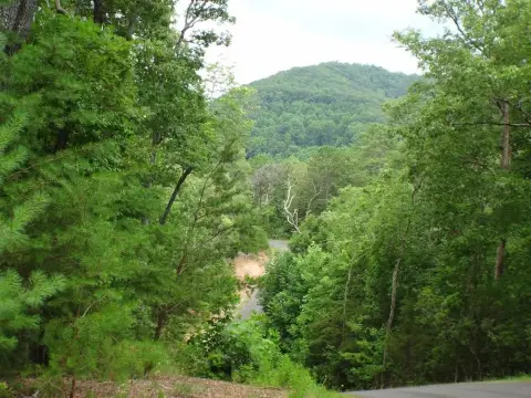 Residential Wooded Lot in Franklin, NC