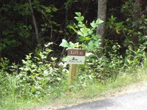 Residential Wooded Lot in Franklin