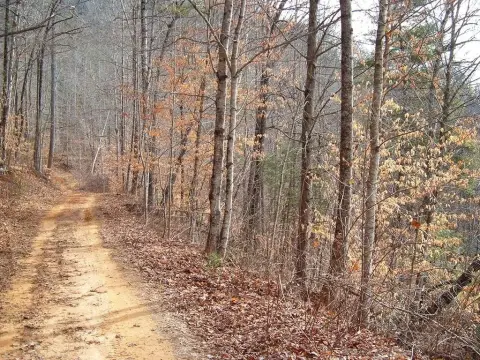 Land with Lake Access