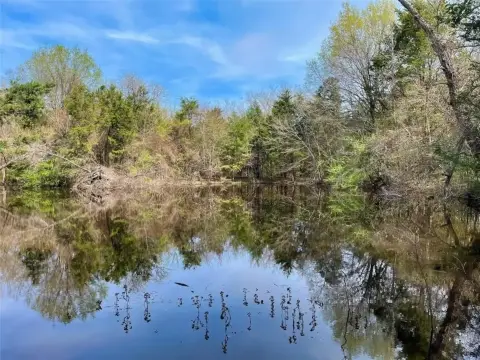 Ector, TX Wooded Land Parcel