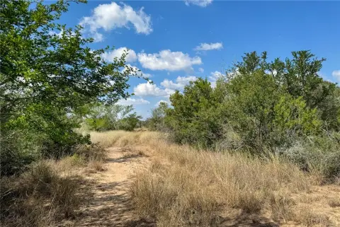 71.43 Acres of South Texas Brushland