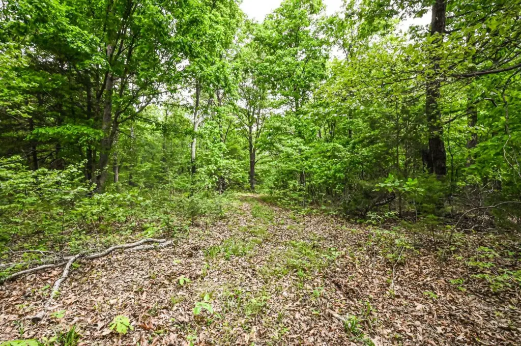 Picture 18