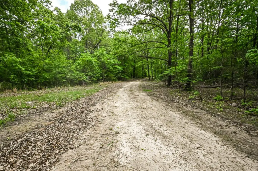 Picture 21