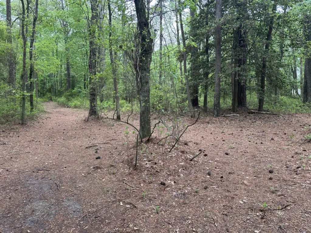 Picture 19