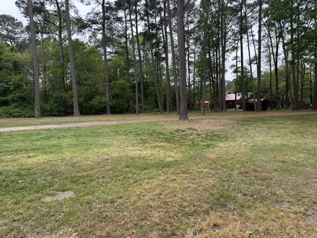 Picture 4