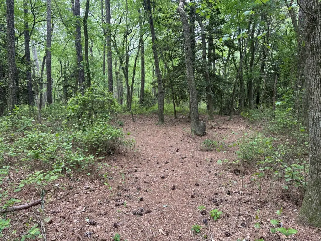 Picture 21