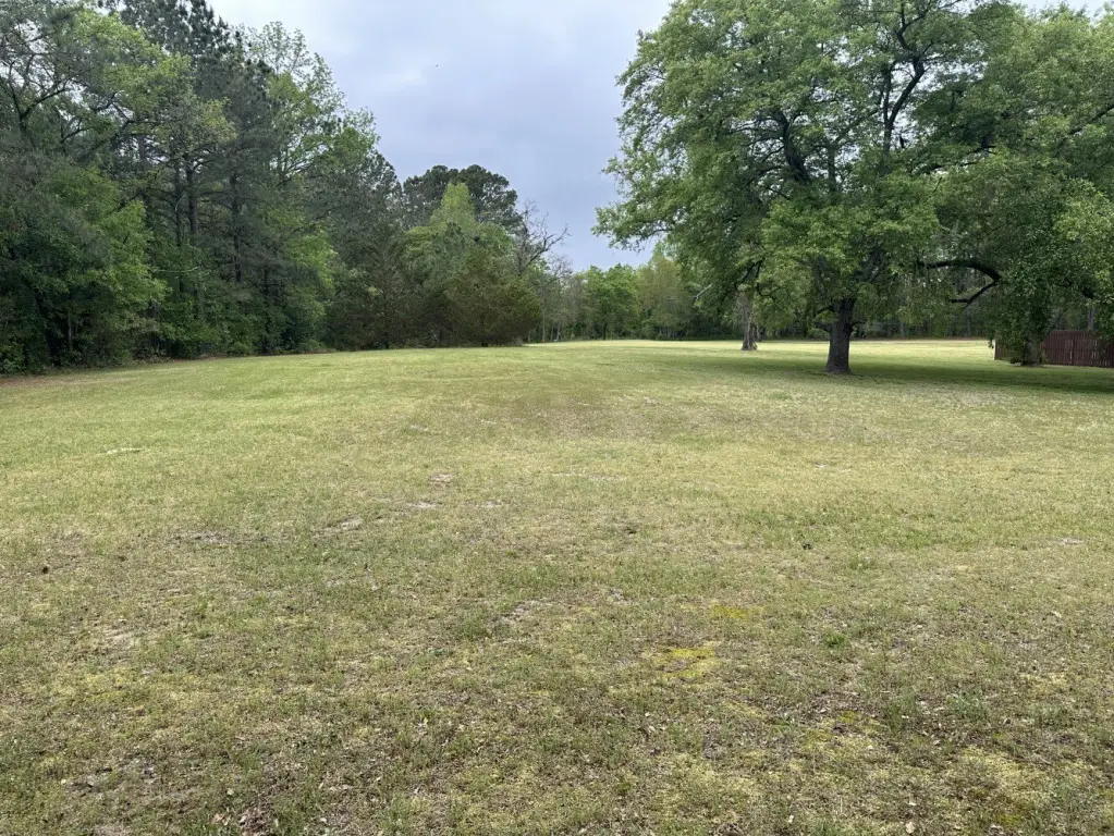 Picture 14