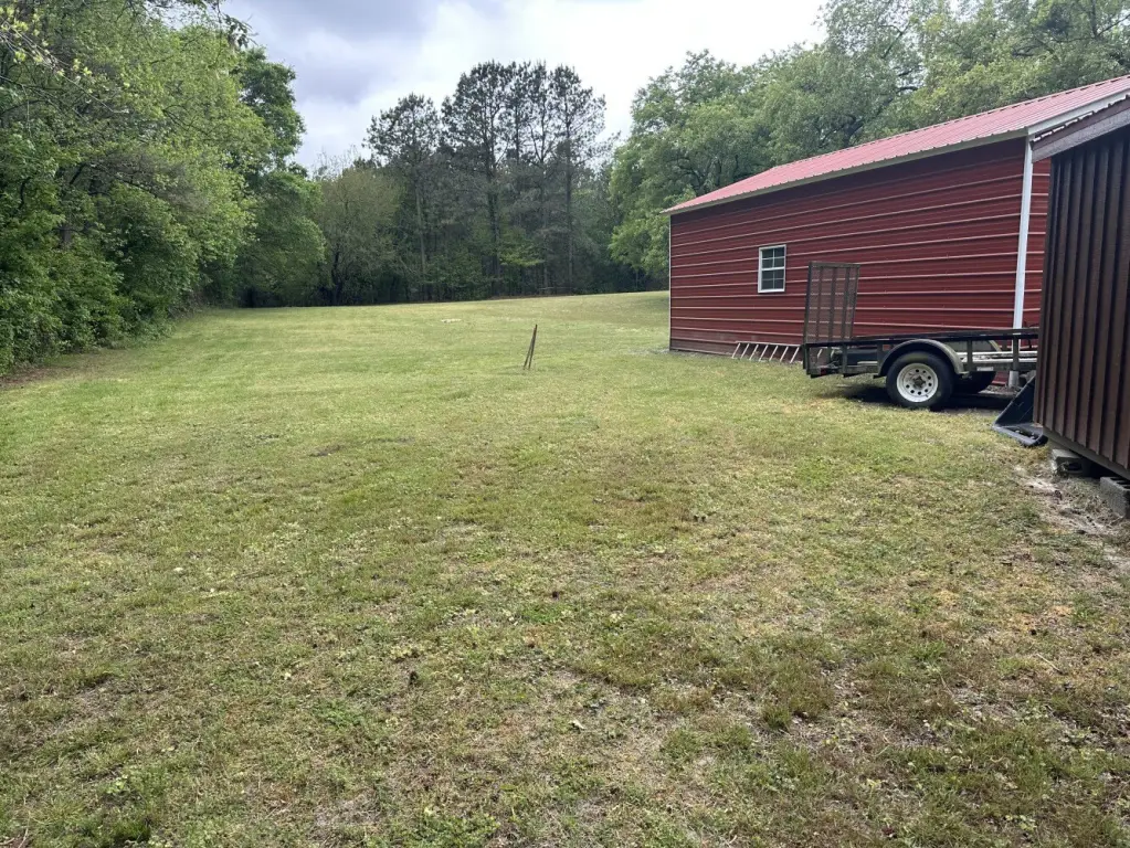 Picture 7