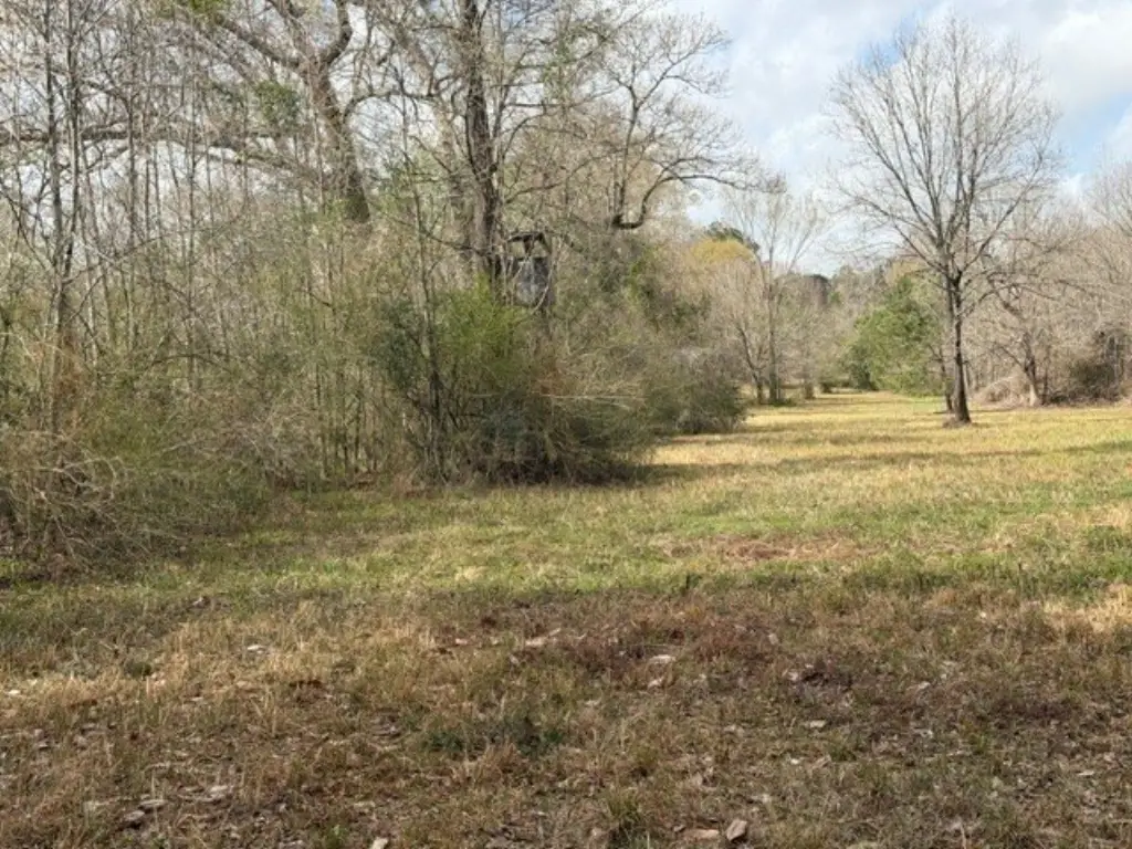 Picture 2