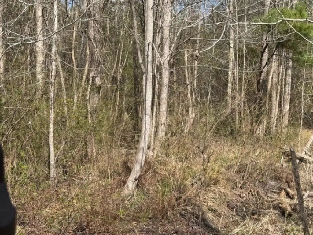 Picture 25