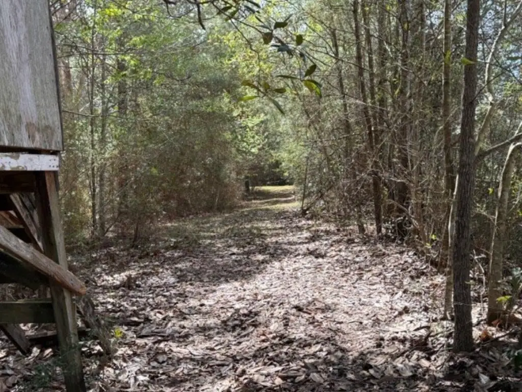 Picture 12