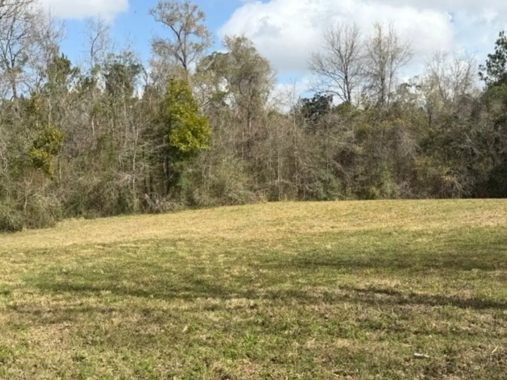 Picture 17