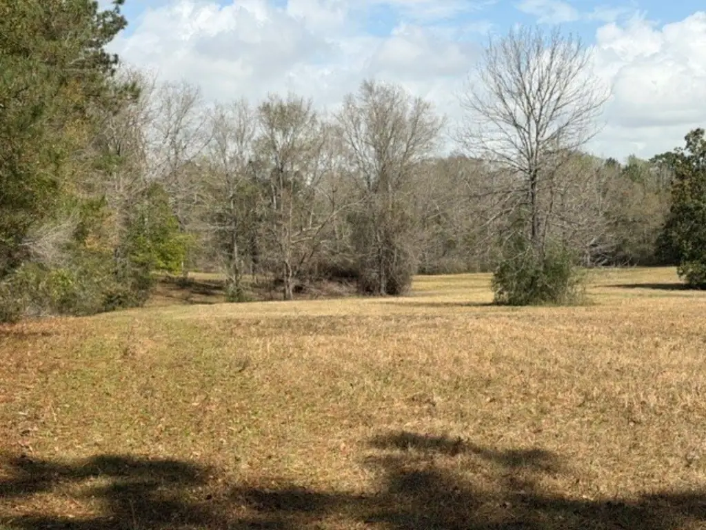 Picture 38