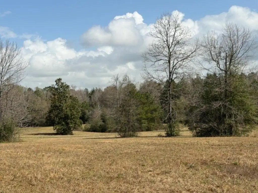 Picture 37